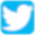 X (Twitter)